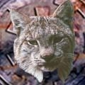 Night Lynx's Avatar