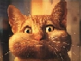 a-ender's Avatar