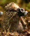 Ev245's Avatar
