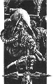 Warhangel's Avatar