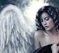 Fly_god's Avatar
