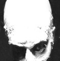 Fibre's Avatar