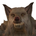 TRAPHYK's Avatar