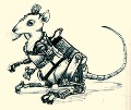 Кэрр's Avatar