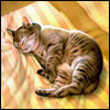 Ласковая's Avatar